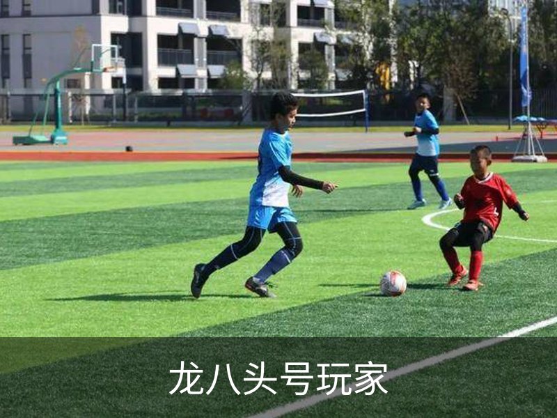 关于龙八头号玩家